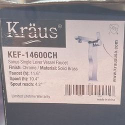 Fancy Kräus Faucet