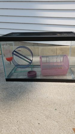 Pet set