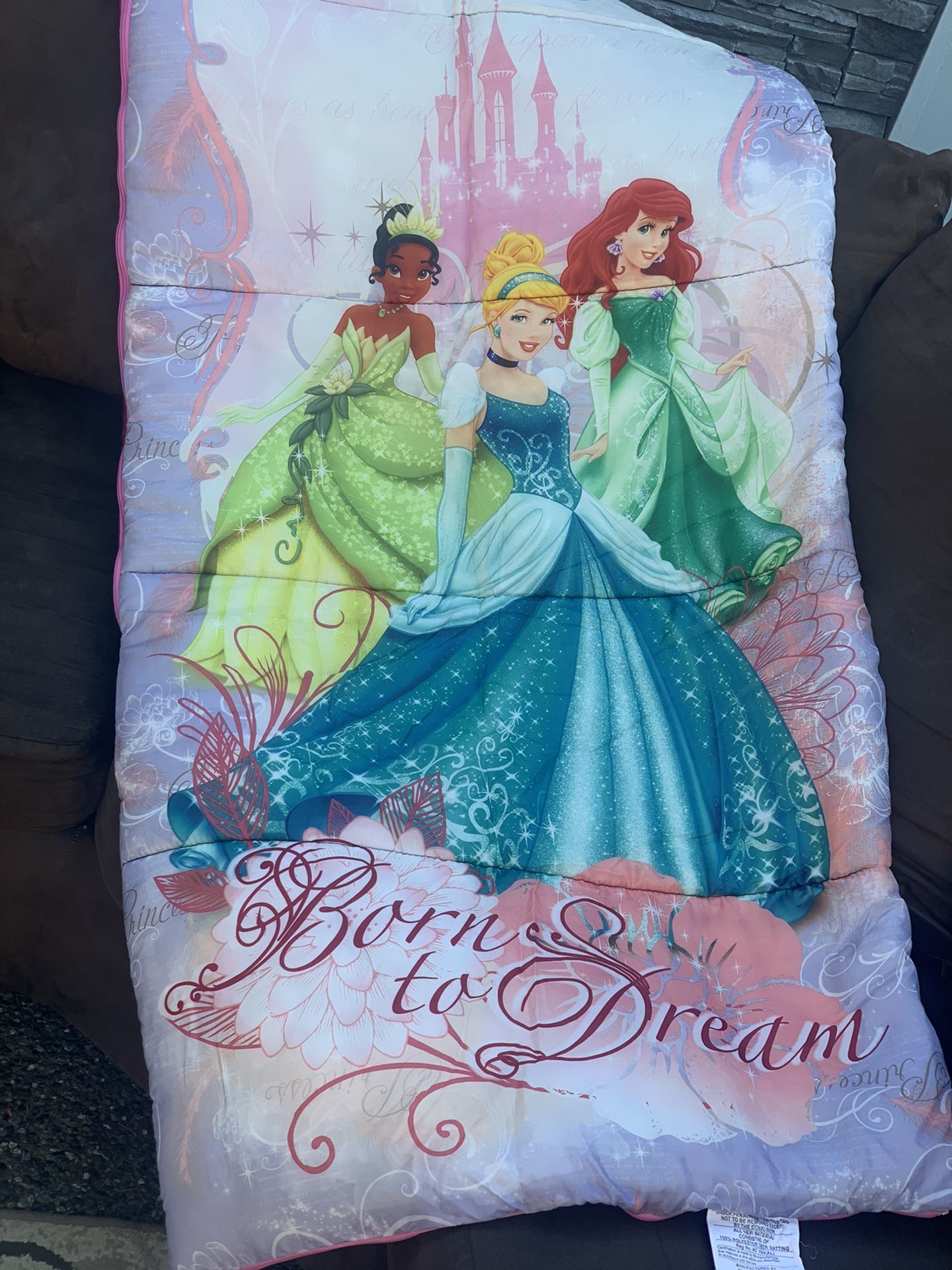 Princess ๐ธ Sleeping Bag For Girls
