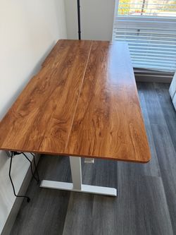 Ergear Standing Desk 55 x 28