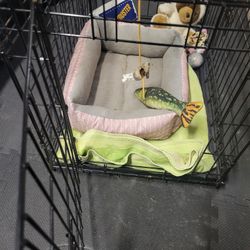 Pet Cage 