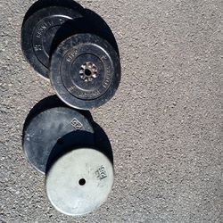 Four 25 Lb Weight Plates. 