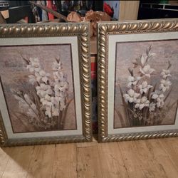 Vintage White Daffodils Frames