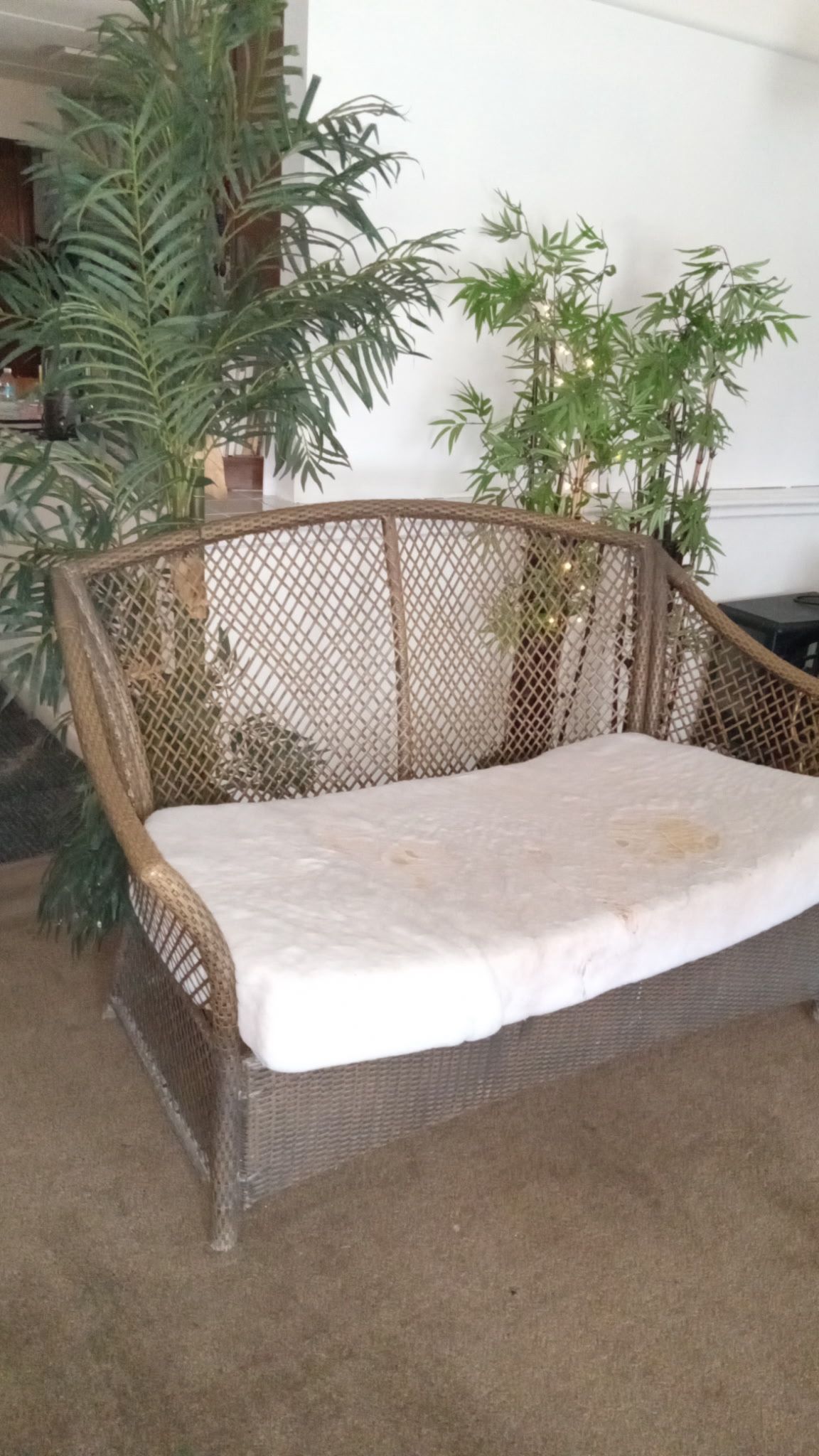 Fake Palm, Bamboo Trees And Settee