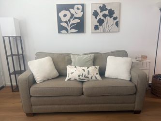 2 seat sleeper sofa