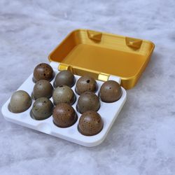 Button Quail (White/Grey/Pearl Color) Fertilized Hatching Eggs