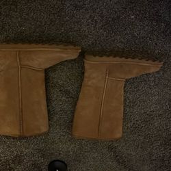 Bear paw Size 8 Women’s 