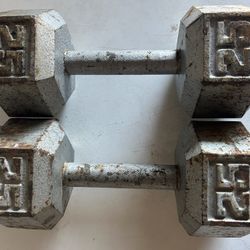 Pair Of 25 Pound Dumbbells 