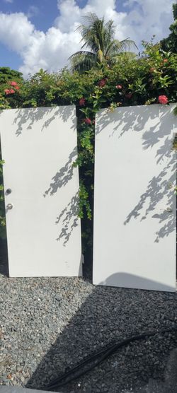 2 exterior / interior single door smooth finish sold separately $100 each 36x8