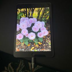 iPad Mini 2