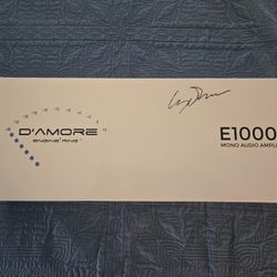 D'amore Mono Block Amp