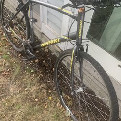 Bike, Rideable But Could Use A Little Work 