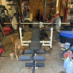 Bench And Weights