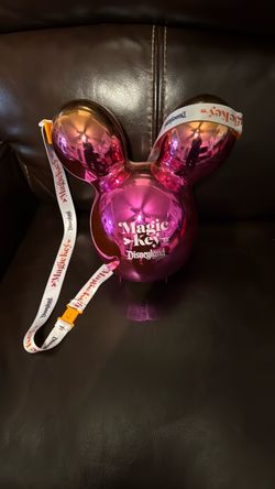 Disneyland popcorn