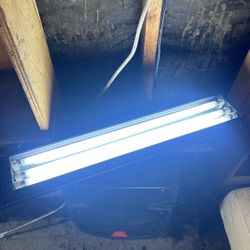 Grow Light