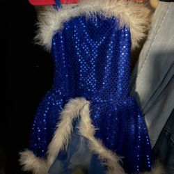 Nutcracker Ballerina Outfit
