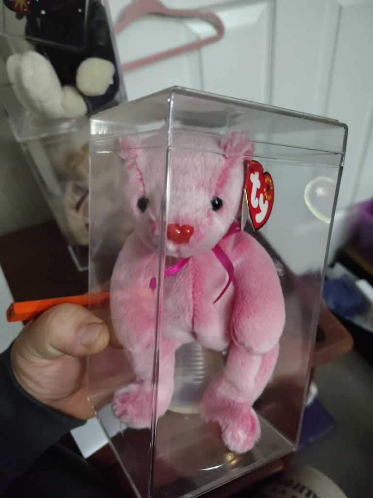 Over 3000 Beanie Babies (All Generations)