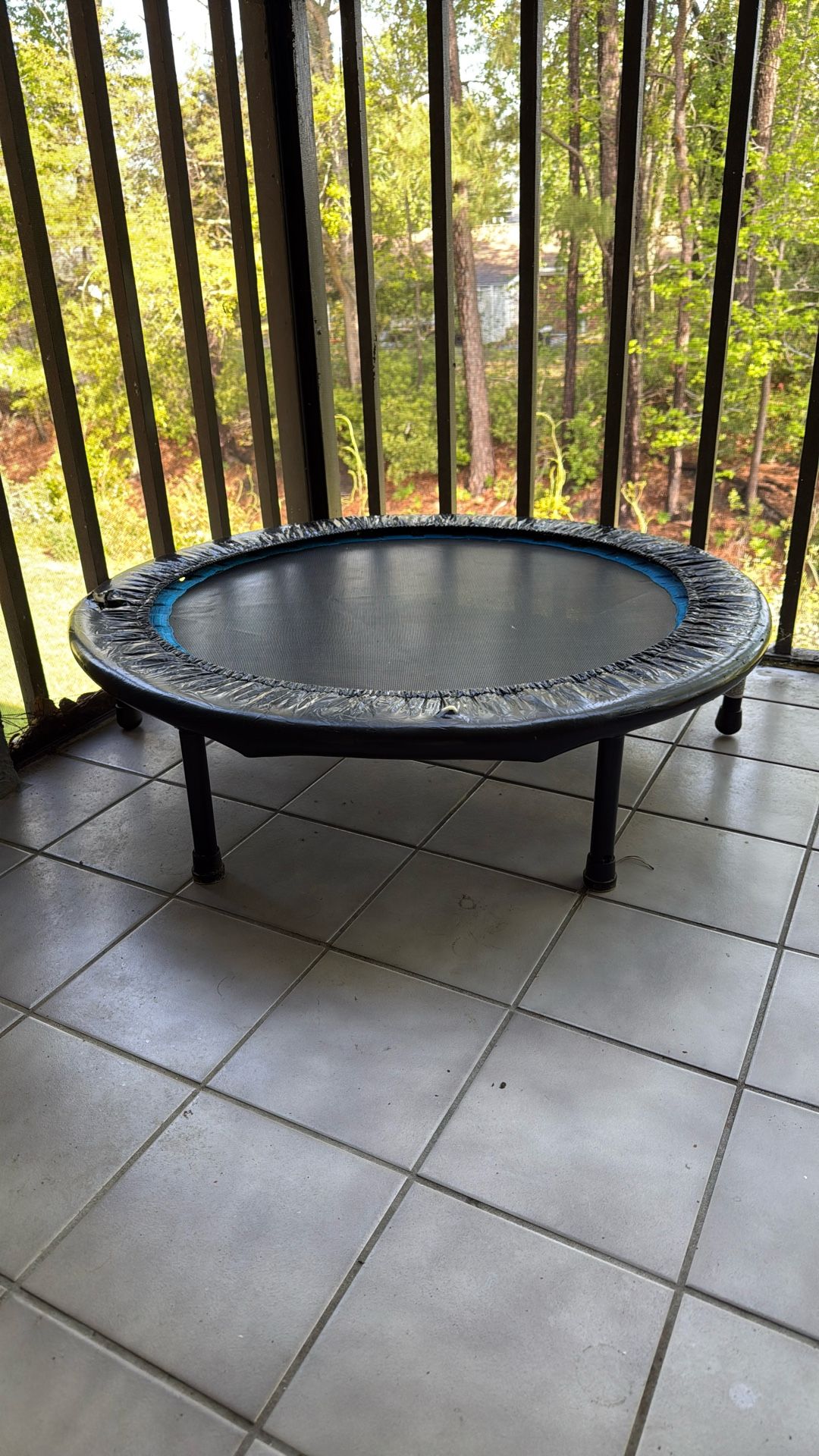 Trampoline rebound Workout Equipment OBO!