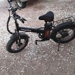 Stolen Ebike
