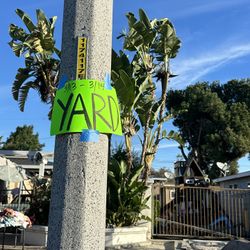 Yard Sale Today  March 14