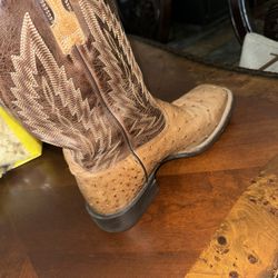 Ariat Ostrich Boots 