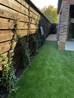 Install New Sprinkler System 