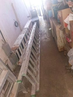 Lots of Ladders