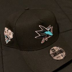 Sharks Snap Back