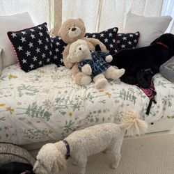 IKEA Day Bed With 3 Drawers And A Twin Mattress 