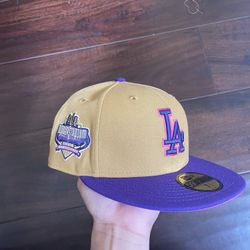 Dodger 40th Anniversary Valley 