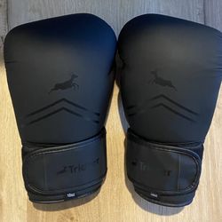Trideer Pro Grade Boxing Gloves 10 oz