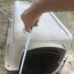 Pet Transport 
