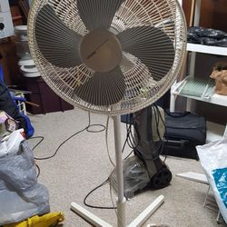 Tall Fan It'll Blow Your Socks Off!