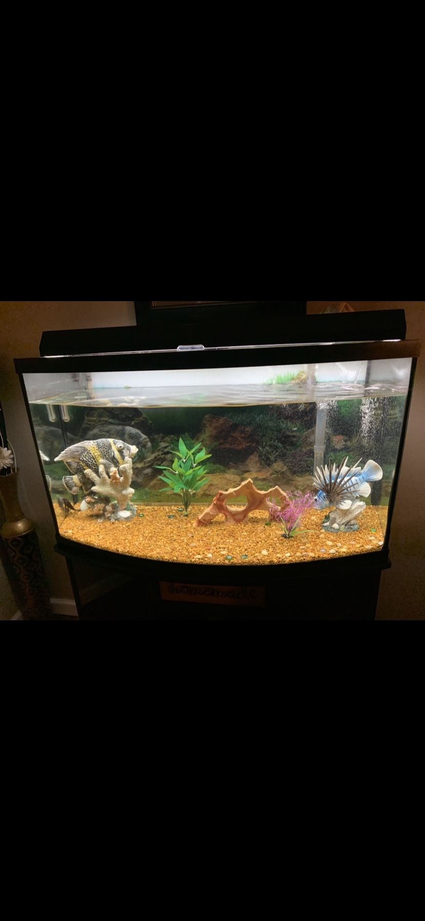 Fish Tank 45 Gallon 