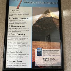 Framed Habits Poster