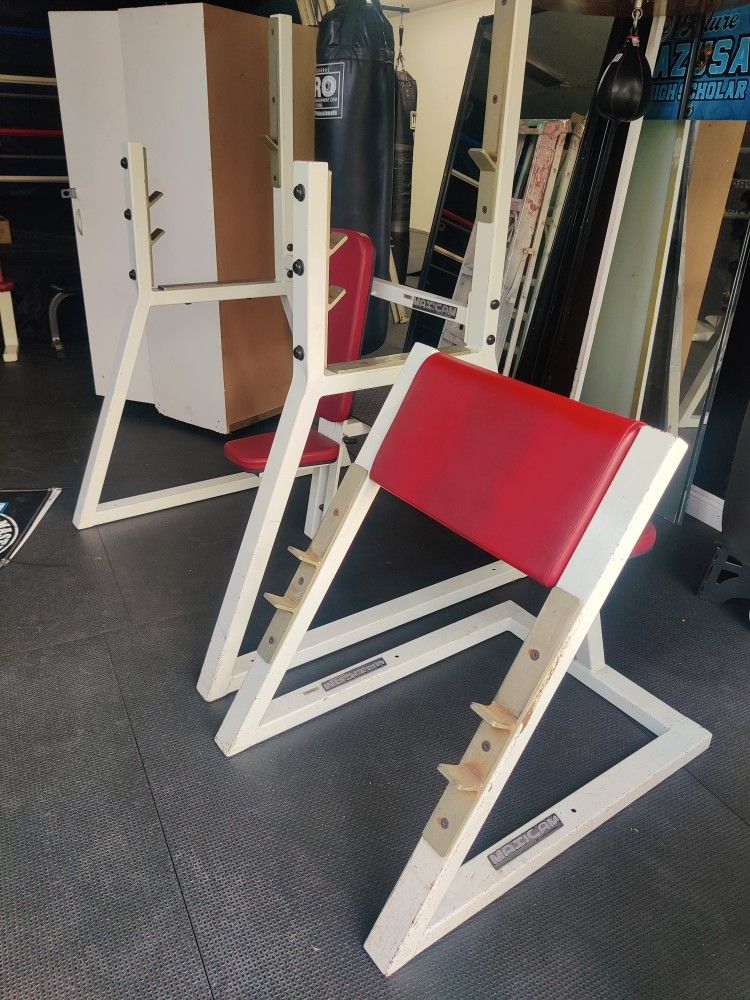 Curly Bench And Shoulder Press Bench/Olympic Military Bench