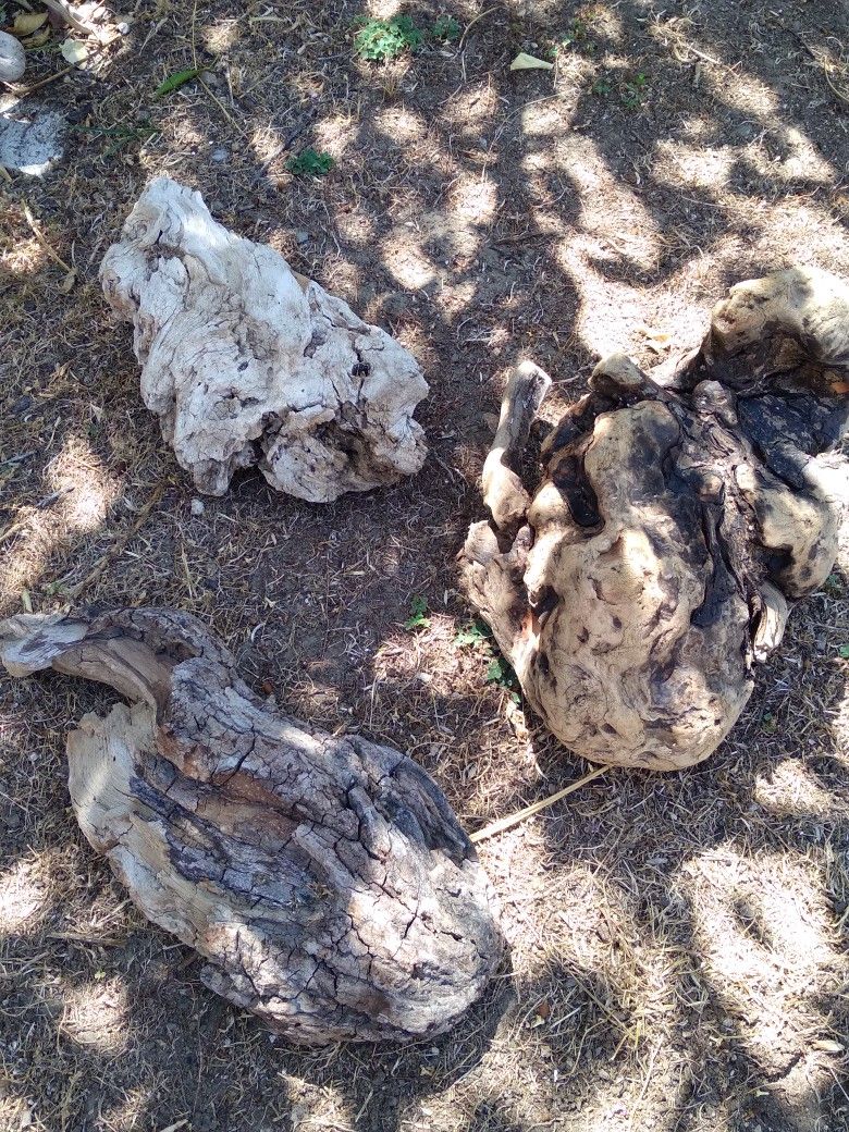 3 Pieces Of Natural Driftwood Aquarium Terrarium 