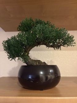 Faux Bonsai