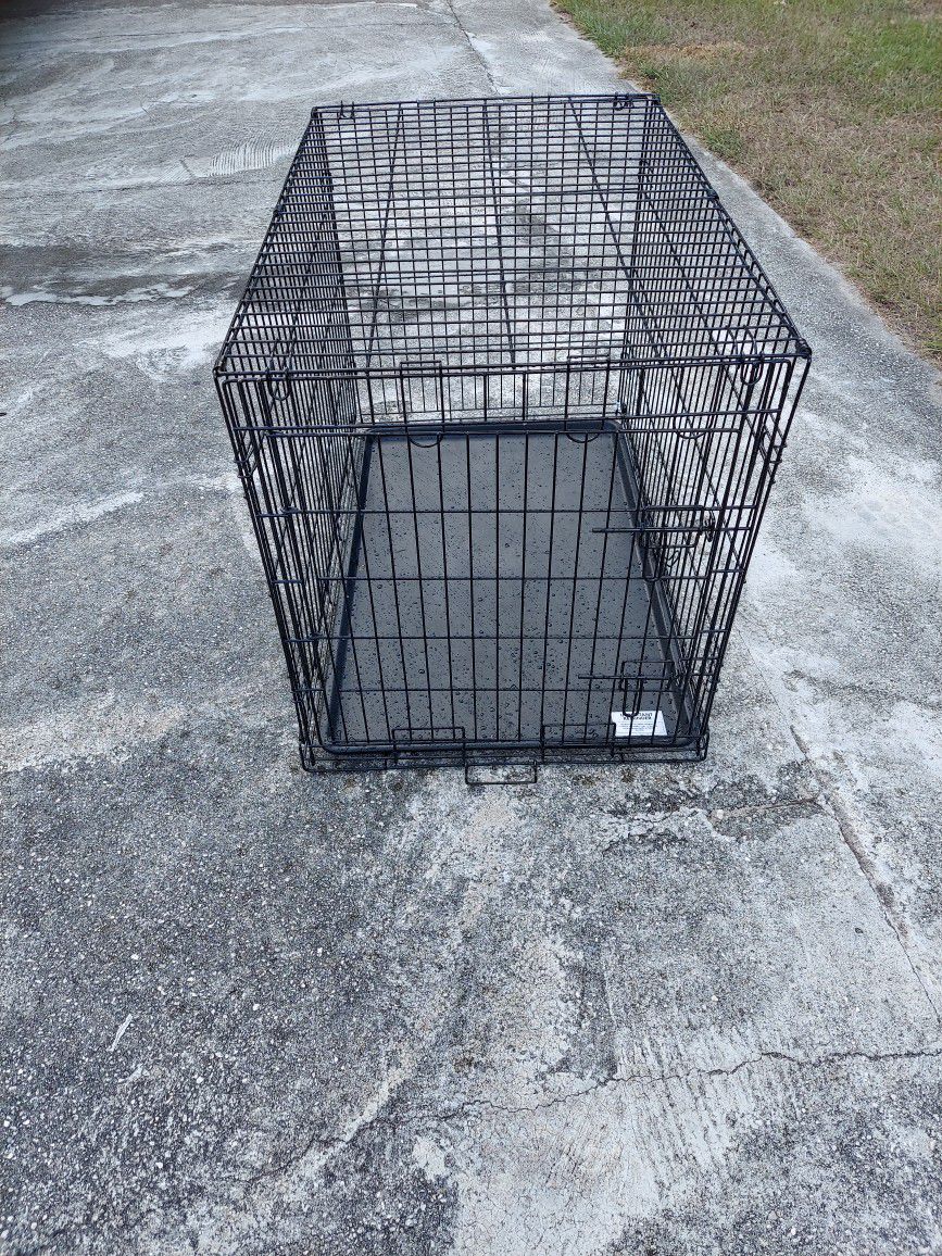 Clean Large Dog Crate