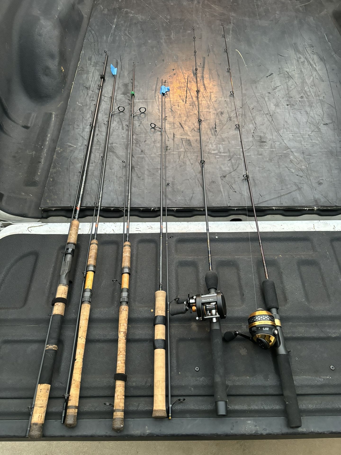 Phenix Fishing Rods