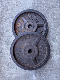22lb 1” Weight Plates