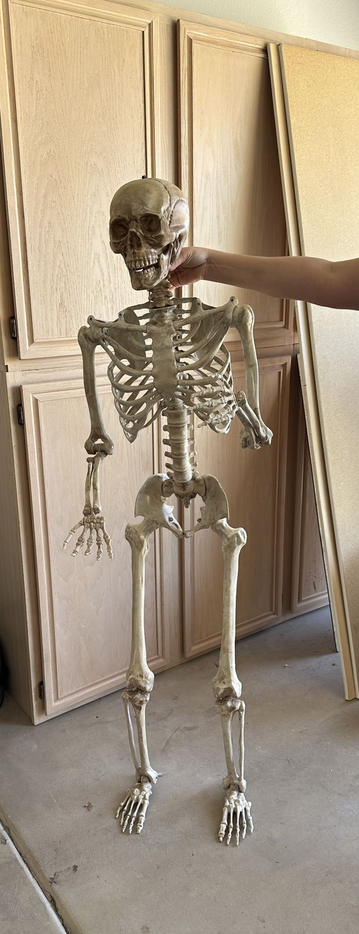 Skeleton Halloween Decoration