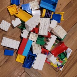 Duplo Blocks 