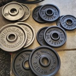 Gym #Gym Equipment #weights 