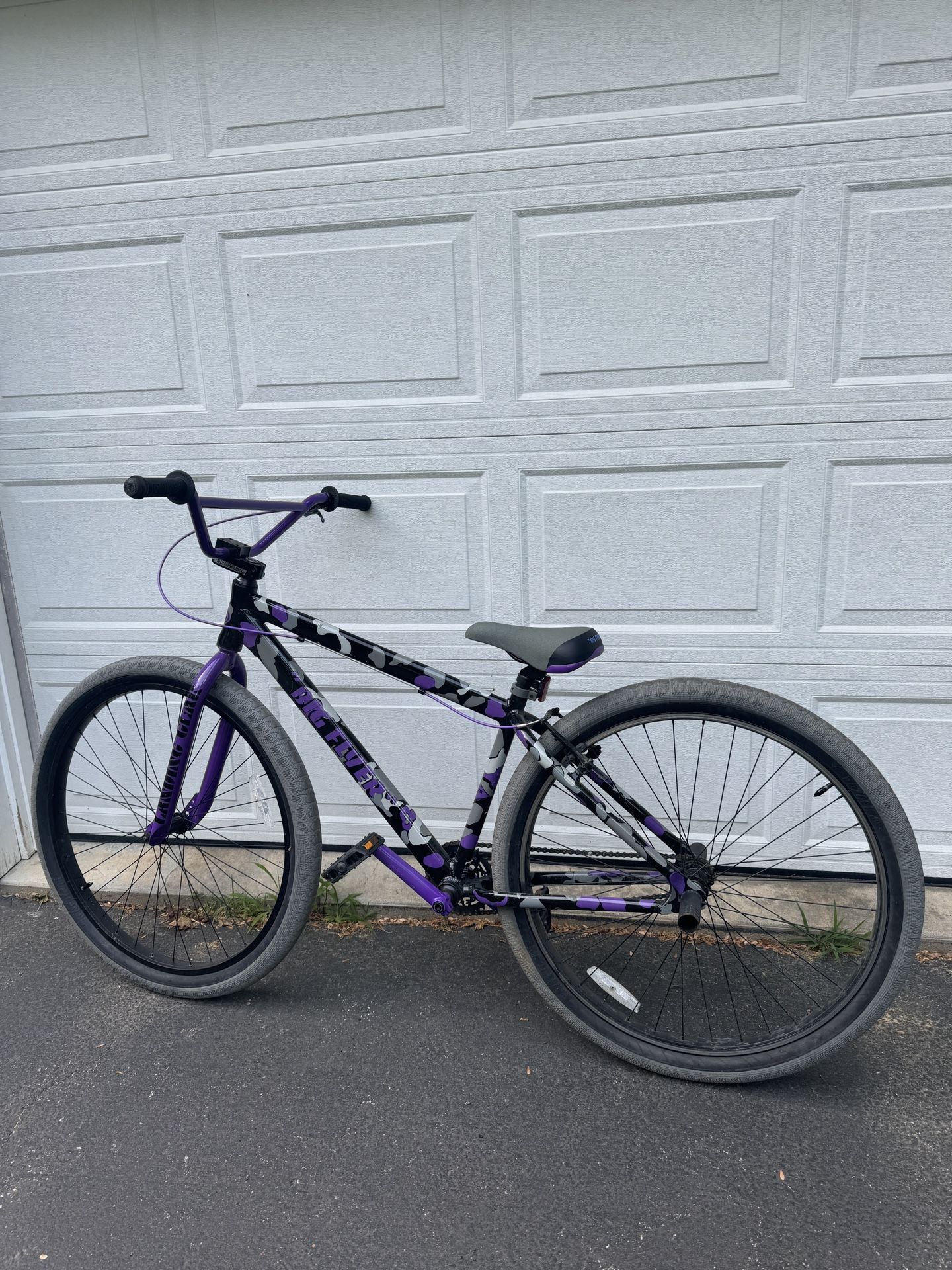 SE Bike