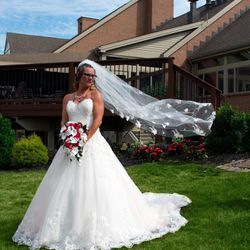 David’s Bridal Wedding Dress Size 12 Thumbnail