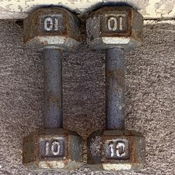 Ten Pound Dumbbell’s Gym Lifting Weights 