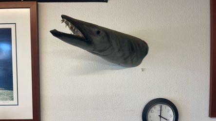 Fish head mount