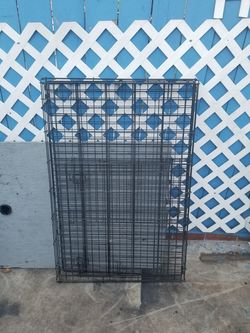 Black Dog Kennel