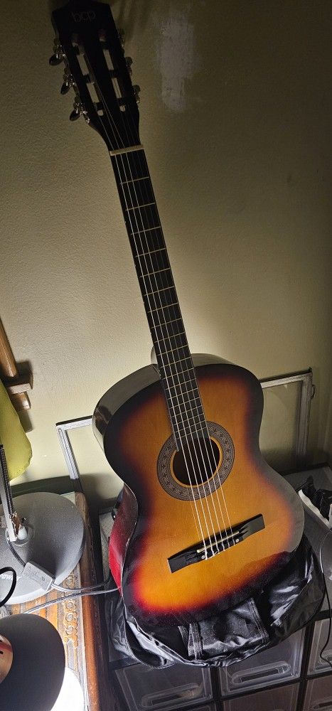 Acoustic Folk Guitar